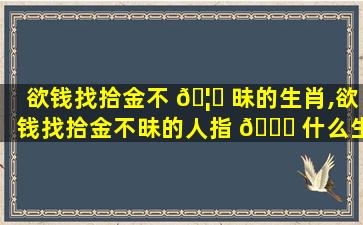 欲钱找拾金不 🦋 昧的生肖,欲钱找拾金不昧的人指 🐞 什么生肖